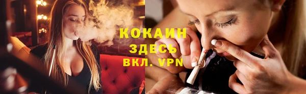 дмт Богородицк
