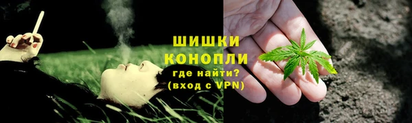 дмт Богородицк