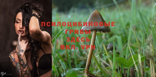 дмт Богородицк