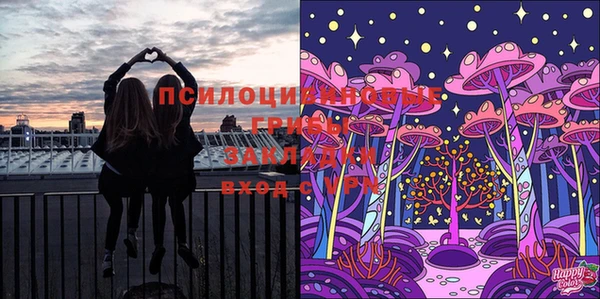 МДМА Богданович