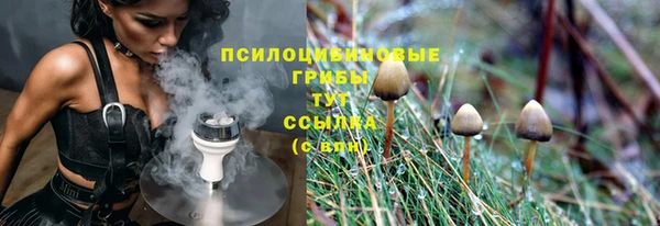 дмт Богородицк